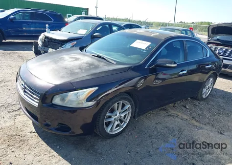 2010 Nissan Maxima 3.5 Sv z USA, uszkodzony, nr VIN 1N4AA5AP4AC850777